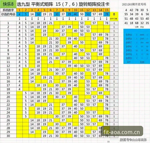 AOA体育官方实用指南：从注册到投注的完整经验分享