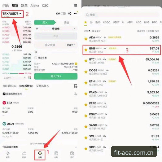 AOA体育官方提现体验深度评测：从注册到出金的完整流程解析